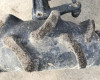 Yanmar F16D Japanese Compact Tractor (7)