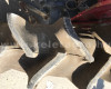 Shibaura P19F Japanese Compact Tractor (10)