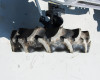 Iseki TM15F Japanese Compact Tractor (11)
