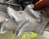 Hinomoto E224 Japanese Compact Tractor (9)