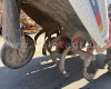 Yanmar YA80 Tractor japonez mic (6)