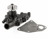 Iseki TS1610F water pump (2)