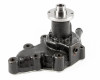 Iseki TS1910 water pump (3)