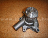 Hinomoto C172 water pump (5)