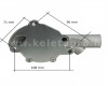 Mitsubishi D1800 water pump (7)