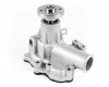 Case-IH SV185 water pump (2)