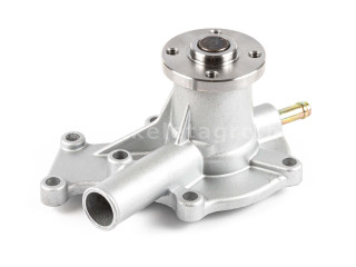 Kubota GB13 water pump (1)