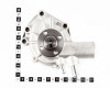 Iseki TF223 water pump (5)