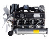 Force 915 kompletter Motor (5)