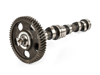 Yanmar 3TN75 camshaft, used (1)