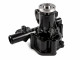 Yanmar EF330-I wasserpumpe