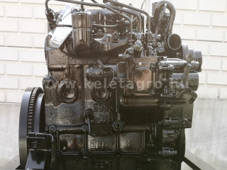 Diesel Engine Iseki E393 - 124199 (1)
