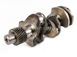 Yanmar 3TN84 Kurbelwelle, gebraucht (1)