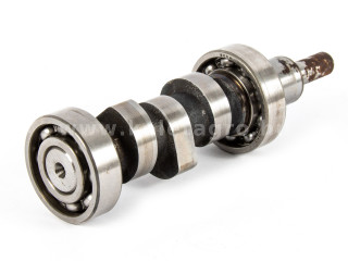 Iseki E383 camshaft for injection pump, used (1)