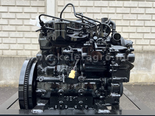 Diesel Engine Iseki E393 - 100097 (1)