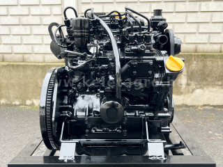 Dieselmotor Yanmar 3TNA72-U4C - F1062 (1)