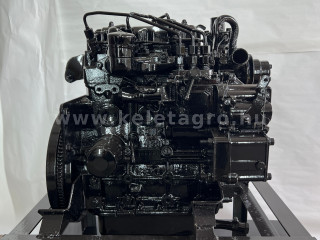 Dieselmotor Iseki E3112 - 156628 (1)